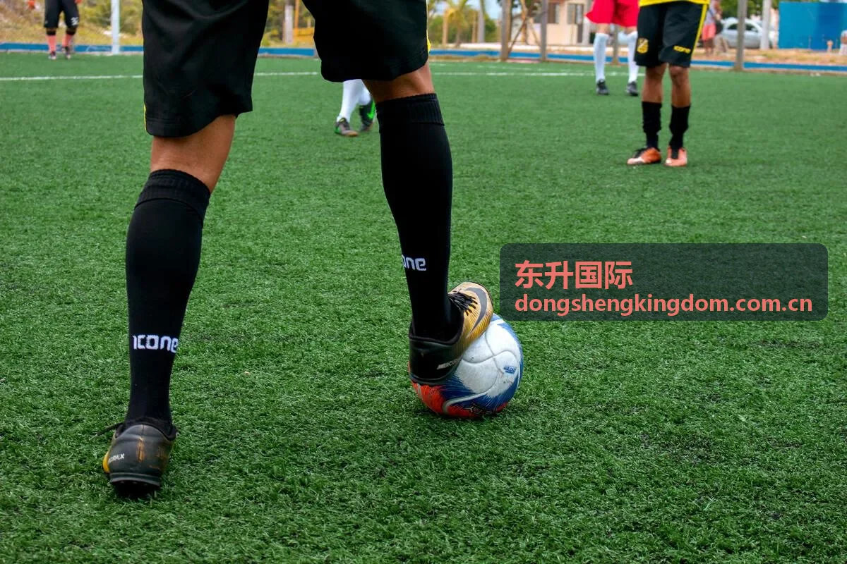 东升国际活动服务提醒